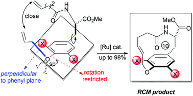 Graphical abstract: Exploiting ortho-substitution effect on formation of oxygen-containing [10]paracyclophane through ring-closing metathesis