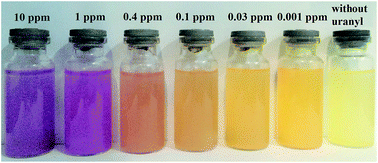 Graphical abstract: Application of a tailor-made polymer as a selective and sensitive colorimetric sensor for reliable detection of trace levels of uranyl ions in complex matrices