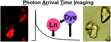 Graphical abstract: Time-resolved confocal microscopy using lanthanide centred near-IR emission