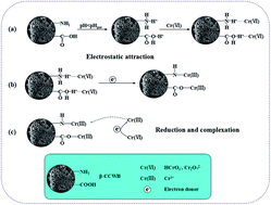 Graphical abstract: Effective removal of Cr(vi) using β-cyclodextrin–chitosan modified biochars with adsorption/reduction bifuctional roles