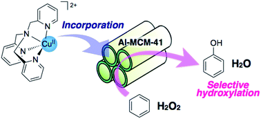 Graphical abstract: One-step selective hydroxylation of benzene to phenol with hydrogen peroxide catalysed by copper complexes incorporated into mesoporous silica–alumina