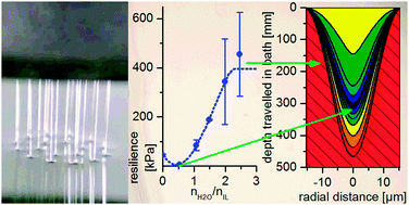 Graphical abstract: Cellulose regeneration and spinnability from ionic liquids