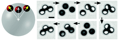 Graphical abstract: Bistable self-assembly in homogeneous colloidal systems for flexible modular architectures