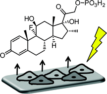 Graphical abstract: Peptide-directed assembly of functional supramolecular polymers for biomedical applications: electroactive molecular tongue-twisters (oligoalanine–oligoaniline–oligoalanine) for electrochemically enhanced drug delivery