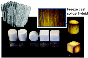 Graphical abstract: Highly flexible silica/chitosan hybrid scaffolds with oriented pores for tissue regeneration