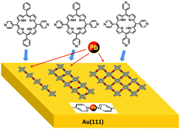 Graphical abstract: On-surface assembly of low-dimensional Pb-coordinated metal–organic structures