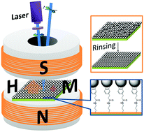 Graphical abstract: Magneto-optical Kerr effect characterization of a uniform nanocrystalline Fe3O4 monolayer fabricated on a silicon substrate functionalized with catechol groups