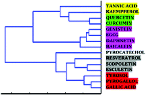 Graphical abstract: HTS-FTIR spectroscopy allows the classification of polyphenols according to their differential effects on the MDA-MB-231 breast cancer cell line