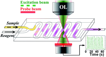 Graphical abstract: Microfluidic flow-injection thermal-lens microscopy for high-throughput and sensitive analysis of sub-μL samples