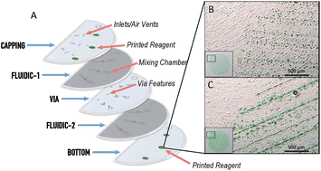 Graphical abstract: Inkjet printing on transparency films for reagent storage with polyester–toner microdevices