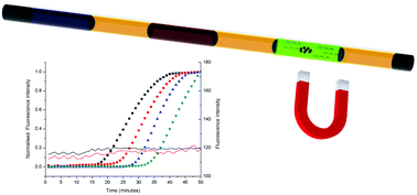 Graphical abstract: A capillary-based multiplexed isothermal nucleic acid-based test for sexually transmitted diseases in patients