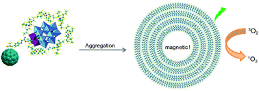 Graphical abstract: Robust onionlike structures with magnetic and photodynamic properties formed by a fullerene C60–POM hybrid