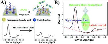 Graphical abstract: Label-free ratiometric electrochemical detection of the mutated apolipoprotein E gene associated with Alzheimer's disease
