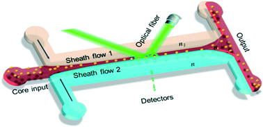 Graphical abstract: Optofluidic restricted imaging, spectroscopy and counting of nanoparticles by evanescent wave using immiscible liquids