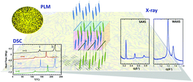 Graphical abstract: Phase behavior of side-chain liquid-crystalline polymers containing biphenyl mesogens with different spacer lengths synthesized via miniemulsion polymerization