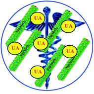 Graphical abstract: Enzyme mimicking inorganic hybrid Ni@MnO2 for colorimetric detection of uric acid in serum samples