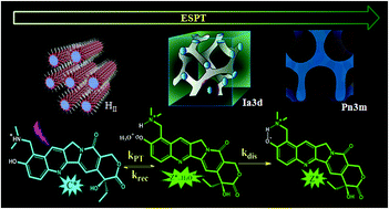 Graphical abstract: Dynamics of different steps of the photopyrolytic cycle of an eminent anticancer drug topotecan inside biocompatible lyotropic liquid crystalline systems