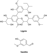 Graphical abstract: A renewable bio-based epoxy resin with improved mechanical performance that can compete with DGEBA