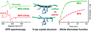 Graphical abstract: Elucidation of the heme active site electronic structure affecting the unprecedented nitrite dismutase activity of the ferriheme b proteins, the nitrophorins