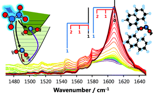 Graphical abstract: Unravelling the mechanisms of vibrational relaxation in solution