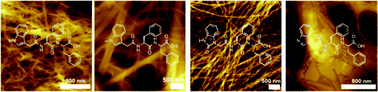 Graphical abstract: Effect of heterocyclic capping groups on the self-assembly of a dipeptide hydrogel