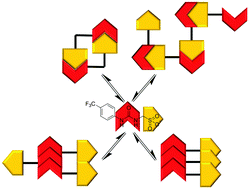 Graphical abstract: In situ modification of nanostructure configuration through the manipulation of hydrogen bonded amphiphile self-association