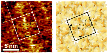 Graphical abstract: Sub-nanometre mapping of the aquaporin–water interface using multifrequency atomic force microscopy