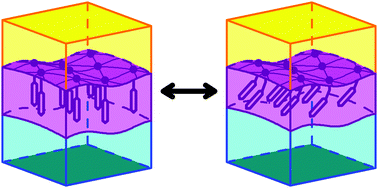 Graphical abstract: Concepts for soft interfaces