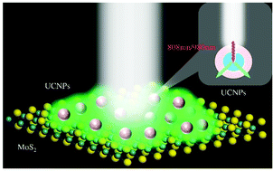 Graphical abstract: Narrowband spectrally selective near-infrared photodetector based on up-conversion nanoparticles used in a 2D hybrid device