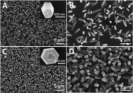 Graphical abstract: Controllable Mn-doped ZnO nanorods for direct assembly of a photoelectrochemical aptasensor