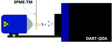 Graphical abstract: Towards on-site analysis of complex matrices by solid-phase microextraction-transmission mode coupled to a portable mass spectrometer via direct analysis in real time