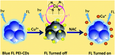 Graphical abstract: Branched polyethylenimine-functionalized carbon dots as sensitive and selective fluorescent probes for N-acetylcysteine via an off–on mechanism
