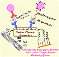 Graphical abstract: Electrochemical and surface plasmon insulin assays on clinical samples