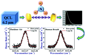 Graphical abstract: High-resolution spectral analysis of ammonia near 6.2 μm using a cw EC-QCL coupled with cavity ring-down spectroscopy