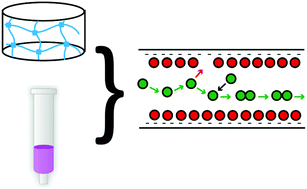 Graphical abstract: On the parallelism between the mechanisms behind chromatography and drug delivery: the role of interactions with a stationary phase