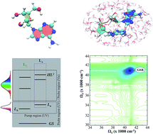 Graphical abstract: Two-dimensional electronic spectroscopy as a tool for tracking molecular conformations in DNA/RNA aggregates