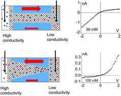 Graphical abstract: Ion transport in gel and gel–liquid systems for LiClO4-doped PMMA at the meso- and nanoscales