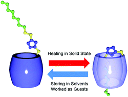 Graphical abstract: Solid-state self-inclusion complexation behaviour of a pillar[5]arene-based host–guest conjugate