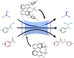 Graphical abstract: Diverse exploitation of Brønsted acid catalysts – paving the way for simple access to enantioenriched amines