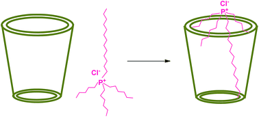 Graphical abstract: Cage to cage study of ionic liquid and cyclic oligosaccharides to form inclusion complexes