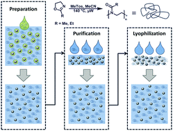 Graphical abstract: Mission ImPOxable – or the unknown utilization of non-toxic poly(2-oxazoline)s as cryoprotectants and surfactants at the same time