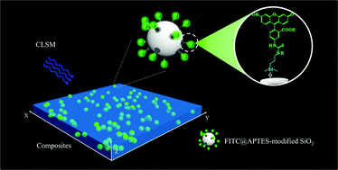 Graphical abstract: Three-dimensional direct visualization of silica dispersion in polymer-based composites