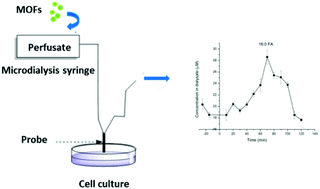 Graphical abstract: Metal–organic frameworks as affinity agents to enhance the microdialysis sampling efficiency of fatty acids