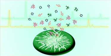 Graphical abstract: Development of an adaptable headspace sampling method for metabolic profiling of the fungal volatome