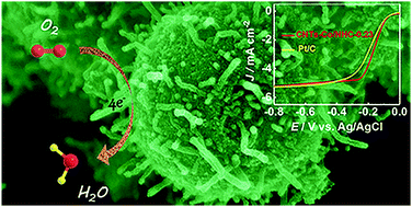 Graphical abstract: A mixed-ion strategy to construct CNT-decorated Co/N-doped hollow carbon for enhanced oxygen reduction