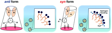 Graphical abstract: Characterization of the micelle structure of oleic acid-based gemini surfactants: effect of stereochemistry