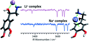 Graphical abstract: Probing the selectivity of Li+ and Na+ cations on noradrenaline at the molecular level