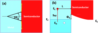 Graphical abstract: Hot carriers generated by plasmons: where are they generated and where do they go from there?