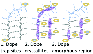 Graphical abstract: Ultrafast transient absorption spectroscopy of doped P3HT films: distinguishing free and trapped polarons