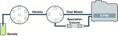 Graphical abstract: Use of an inline dilution method to eliminate species interconversion for LC-ICP-MS based applications: focus on arsenic in urine